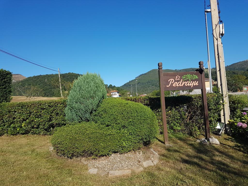 Apartamentos El Pedrayu Onís Exteriör bild